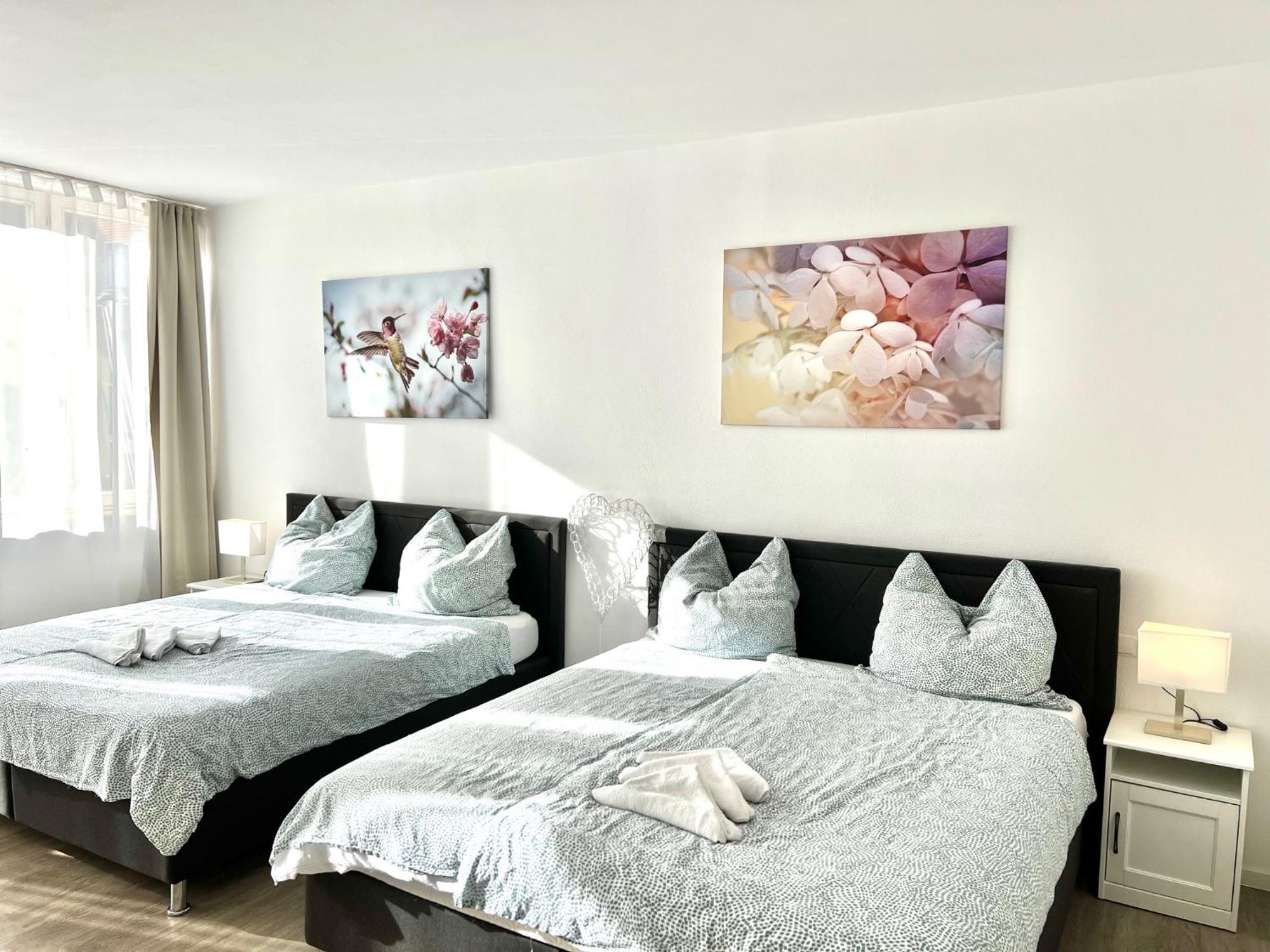 City Appartement Kueche,Bad, Parken Im Zentrum Von Ravensburg Eksteriør billede