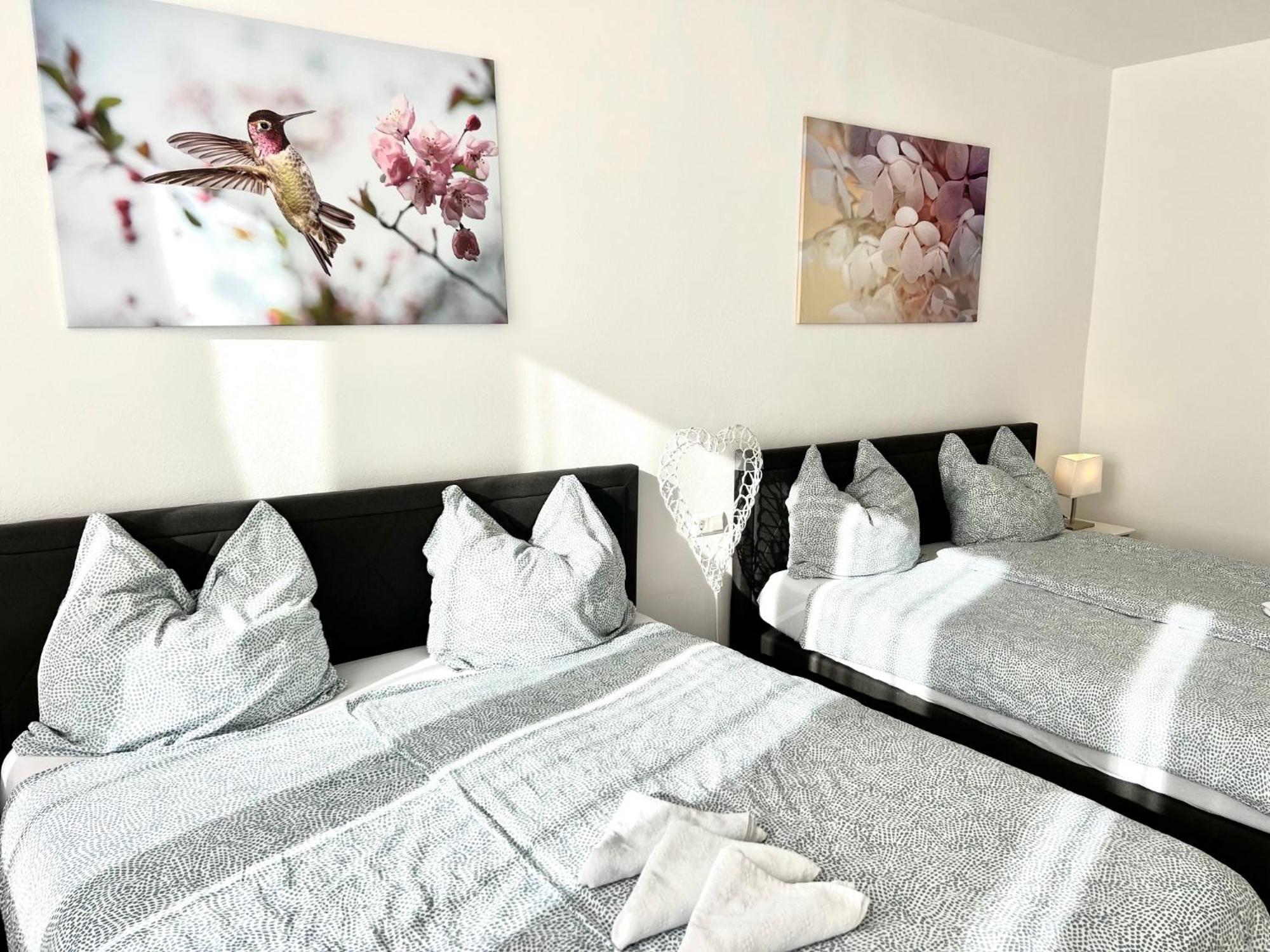 City Appartement Kueche,Bad, Parken Im Zentrum Von Ravensburg Værelse billede